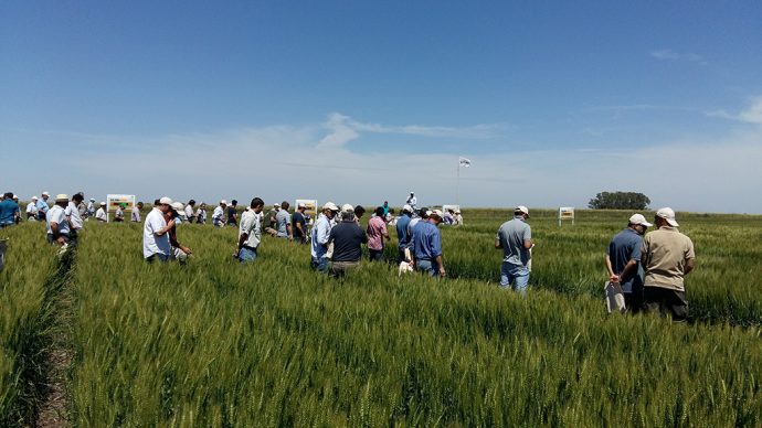 expoagro-elrural.com
